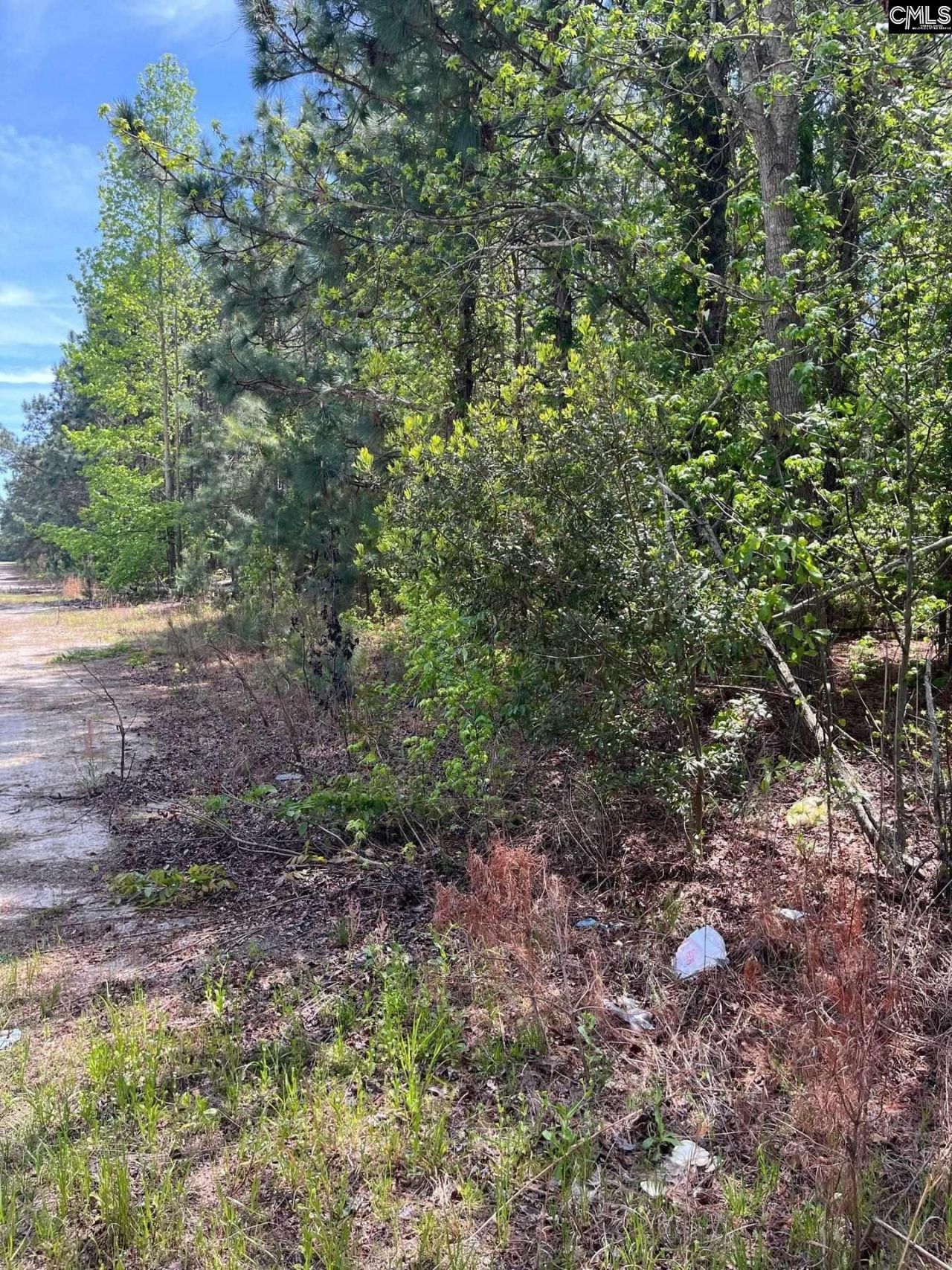 Mta 7 Heustess Road  Photo 27