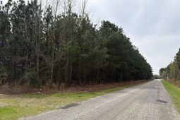 Mta 7 Heustess Road  photo 4