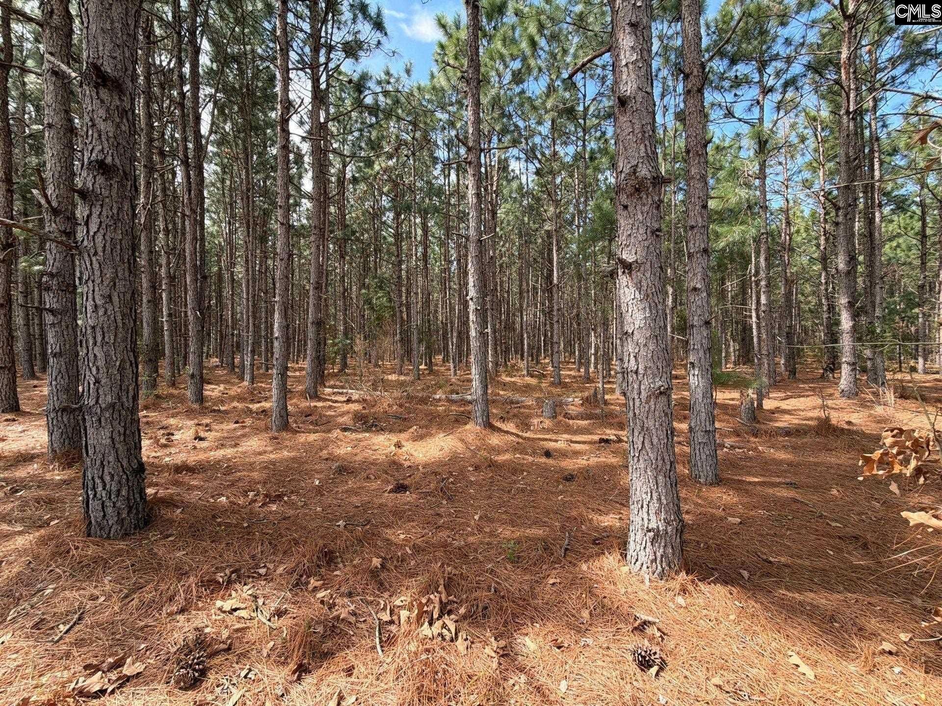 Mta 7 Heustess Road  Photo 4