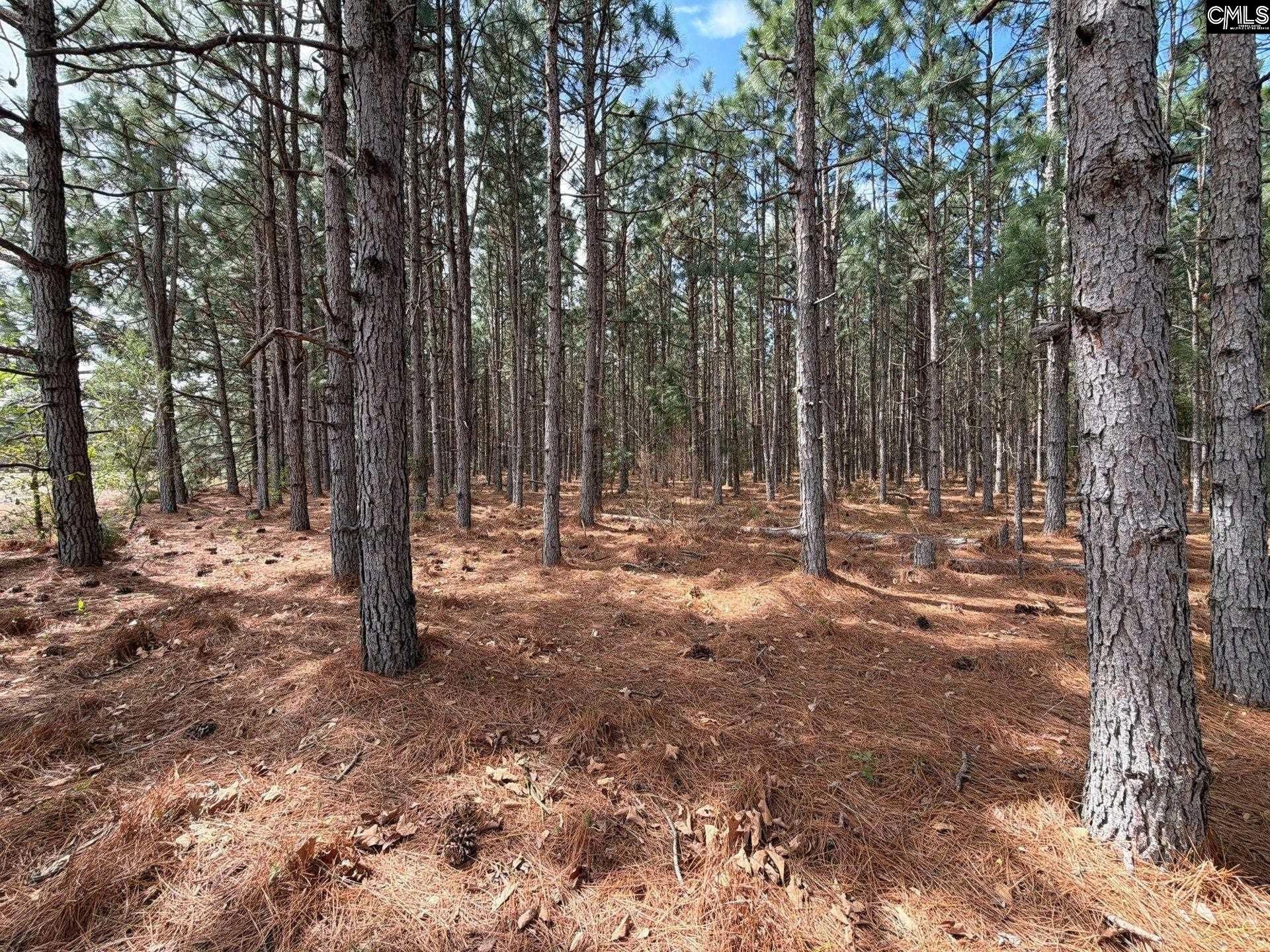 Mta 7 Heustess Road  Photo 5