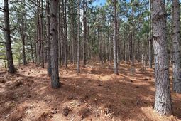 Mta 7 Heustess Road  photo 4