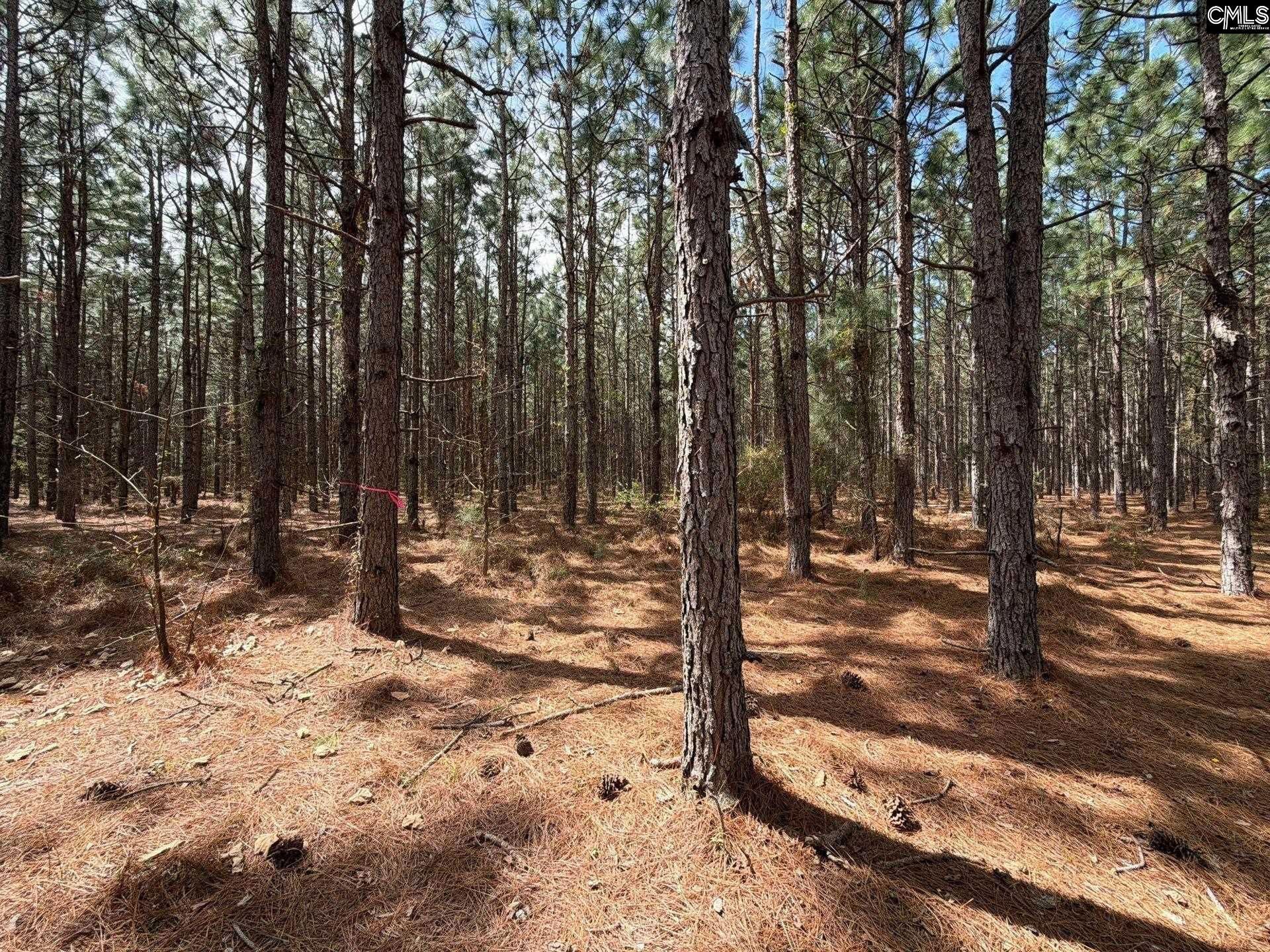 Mta 7 Heustess Road  Photo 6