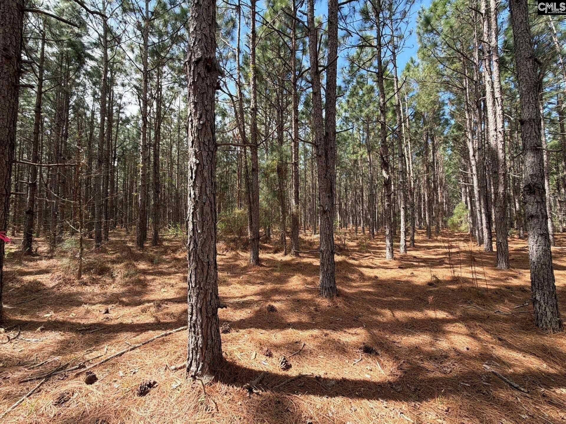 Mta 7 Heustess Road  Photo 7