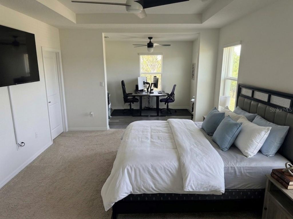 16910 Oval Rum Drive, Wimauma, FL 33598 Photo