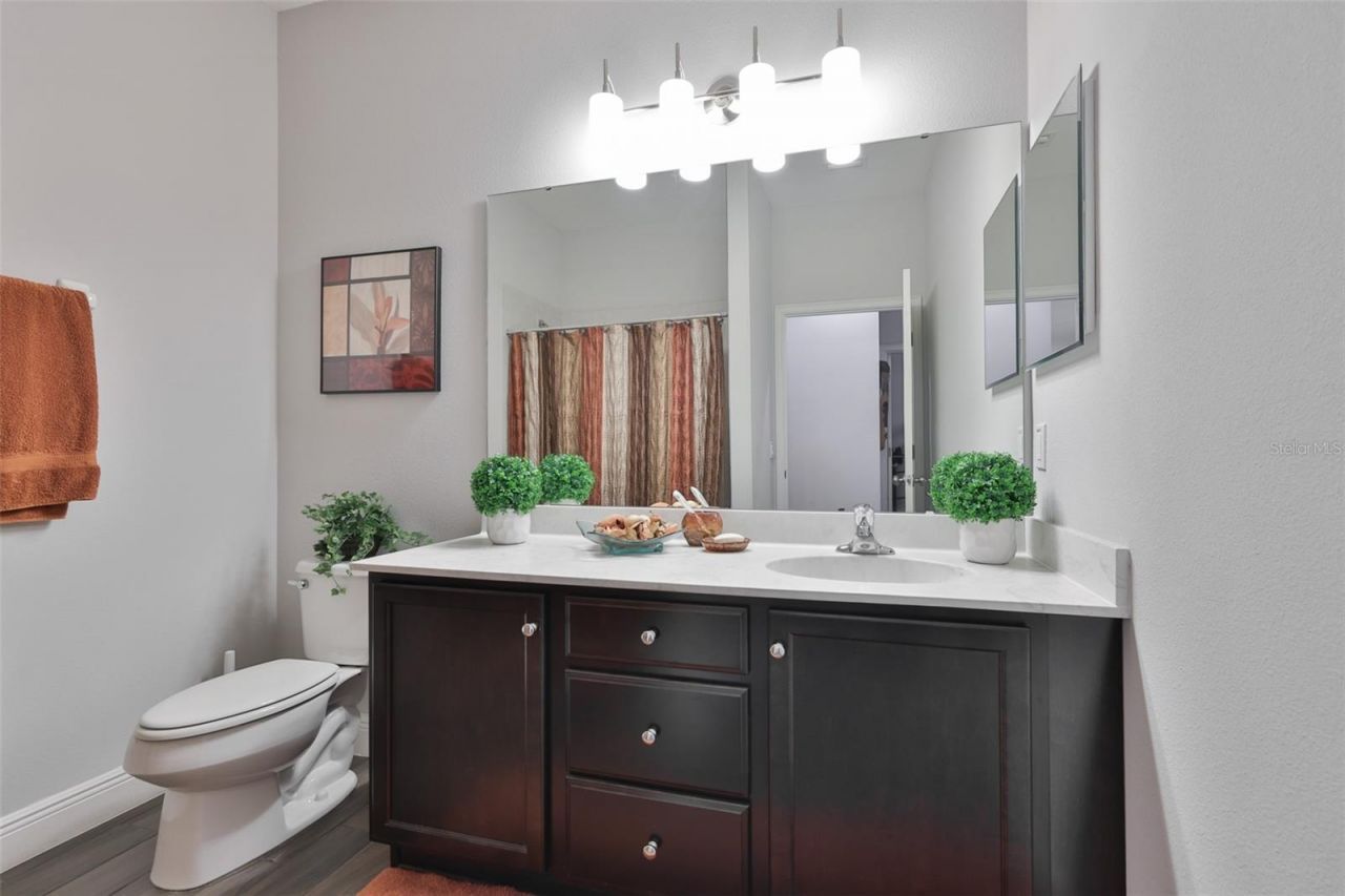 11014 Brahman Ranch Circle, Riverview, FL 33578 Photo