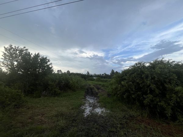 0 E State Rd 60, Okeechobee, FL 34972