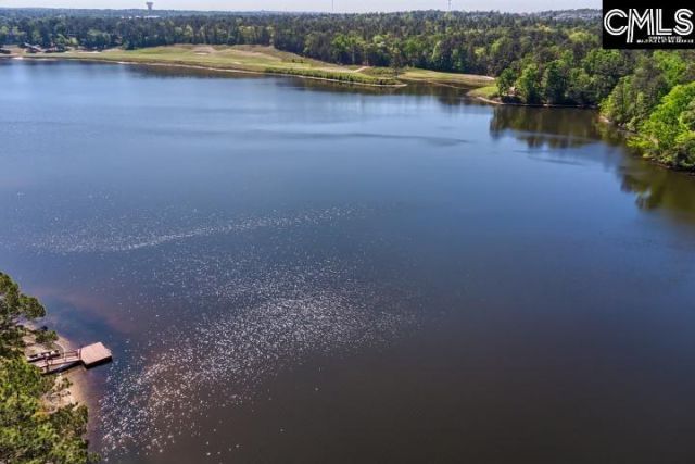 124 Runneymede Drive  Photo 51