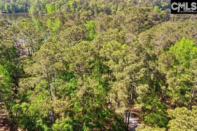 124 Runneymede Drive  Photo 64