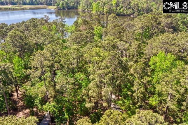 124 Runneymede Drive  Photo 65