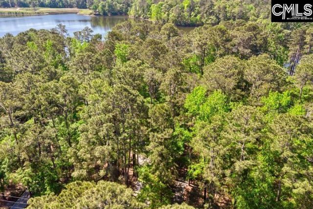 124 Runneymede Drive  Photo 66