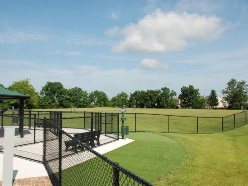 4093 Sassafras Court, Grove City, OH 43123 Photo 77