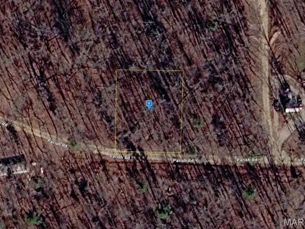 111 Parish Road , Williamsville, MO 63901