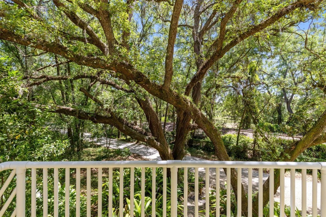 5789 N Apopka Vineland Road, Orlando, FL 32818 Photo