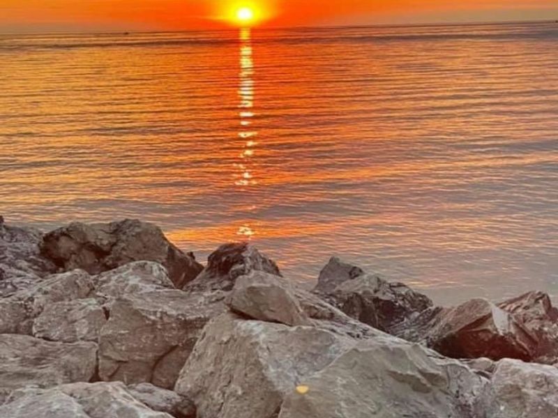 181 Larimar Drive, Willowick, OH 44095 Photo 30