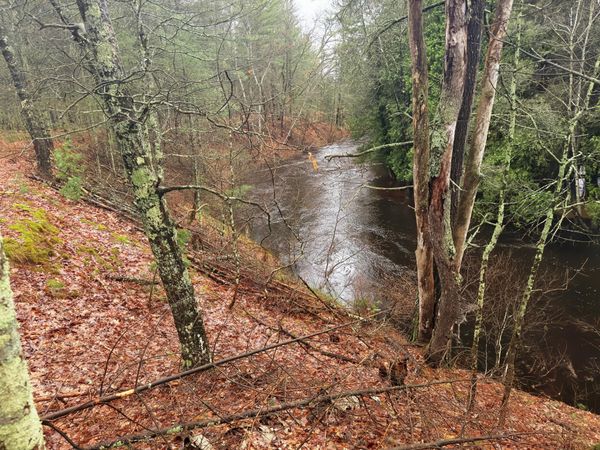 10190 W River Road, Irons, MI 49644