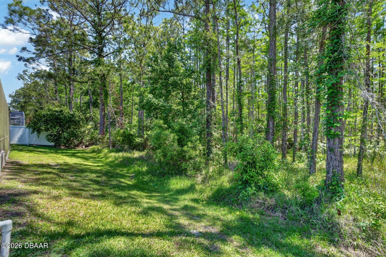 5458 E Saint Regis Way, Port Orange, FL 32128 Photo