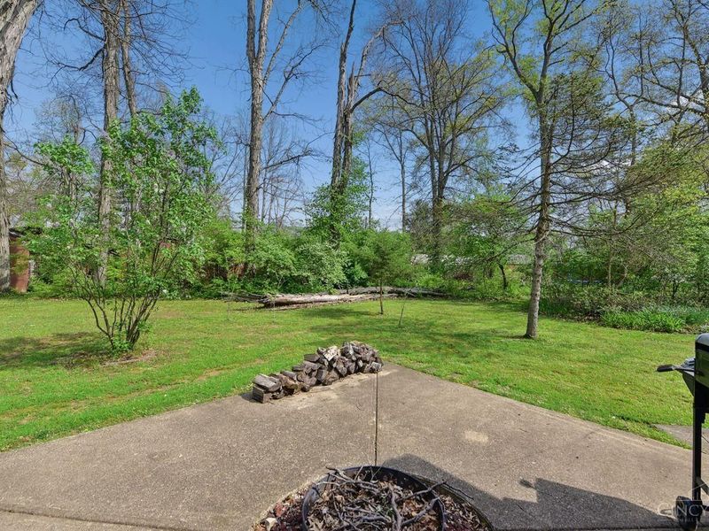 339 Leipzig Drive, Fayetteville, OH 45118 Photo 41