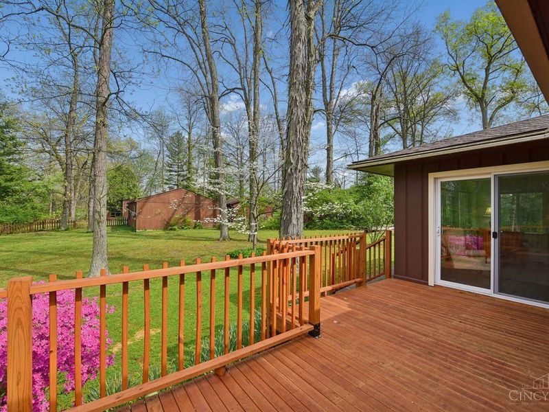 339 Leipzig Drive, Fayetteville, OH 45118 Photo 5