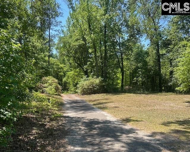 175 Geiger Lane  Photo 5