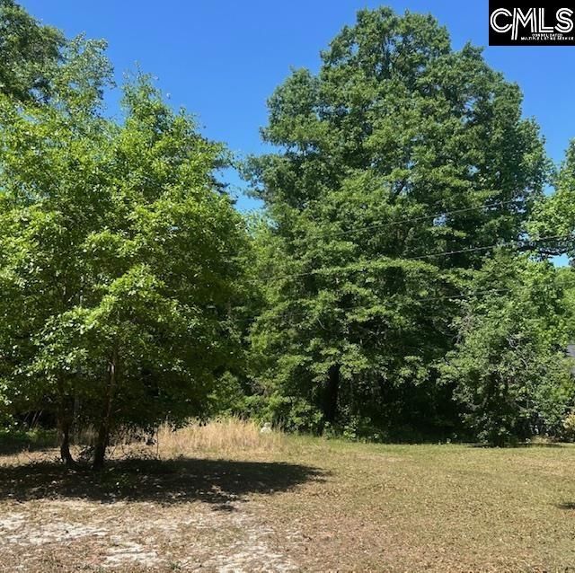 175 Geiger Lane  Photo 6