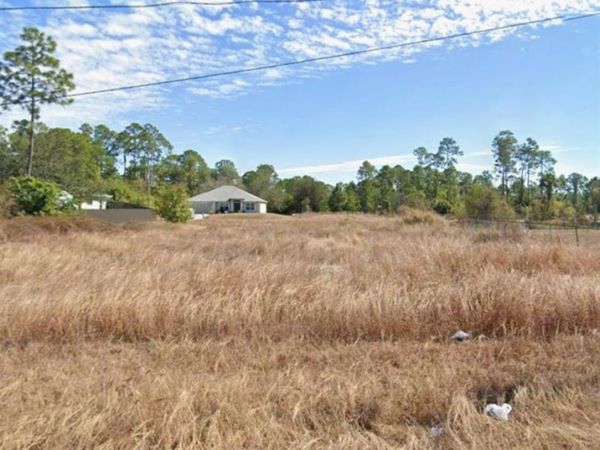 521 Redwood AVE S, LEHIGH ACRES, FL 33974