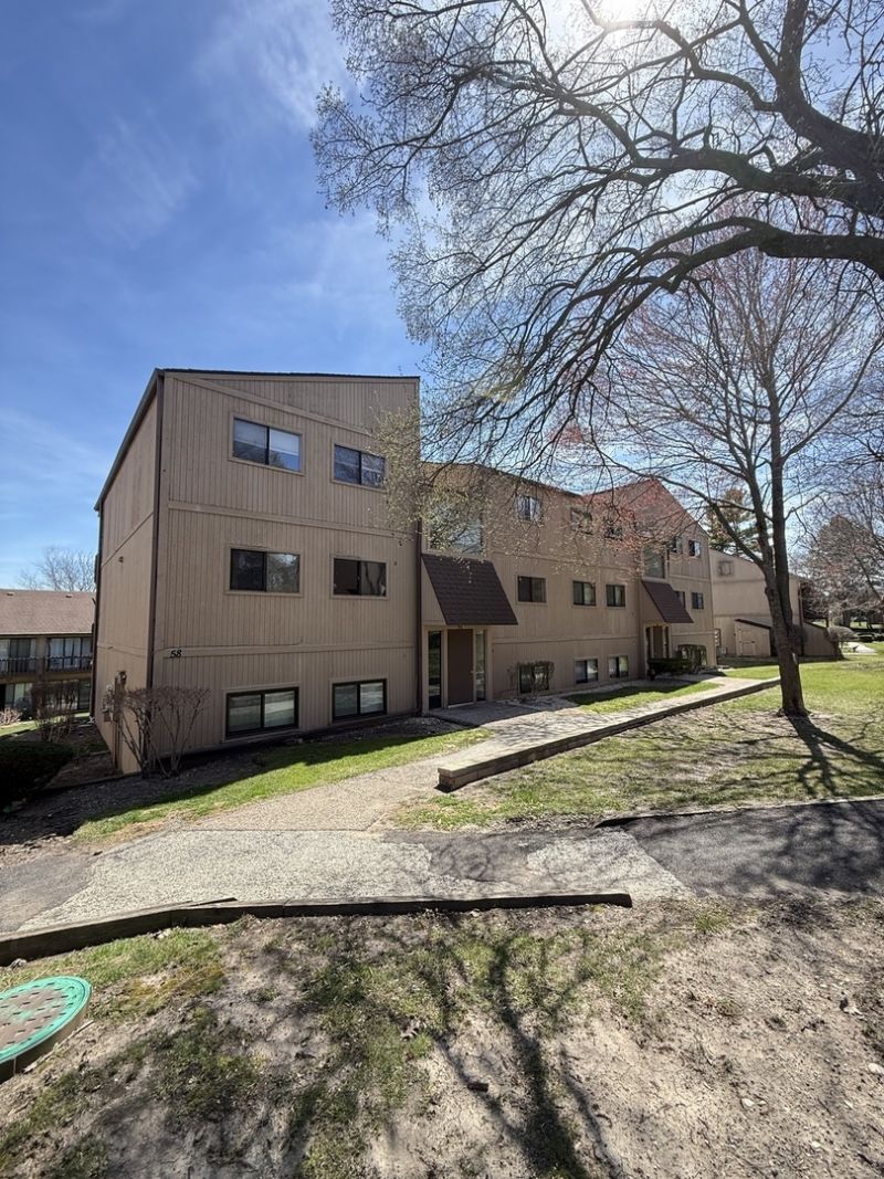 58 Vail Colony, Unit 9, Fox Lake, IL 60020 Main Photo