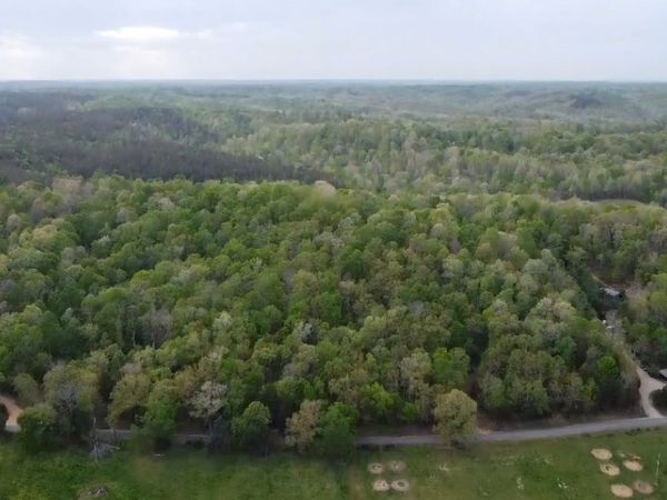 0 Red Bank Road, Lobelville, TN 37097