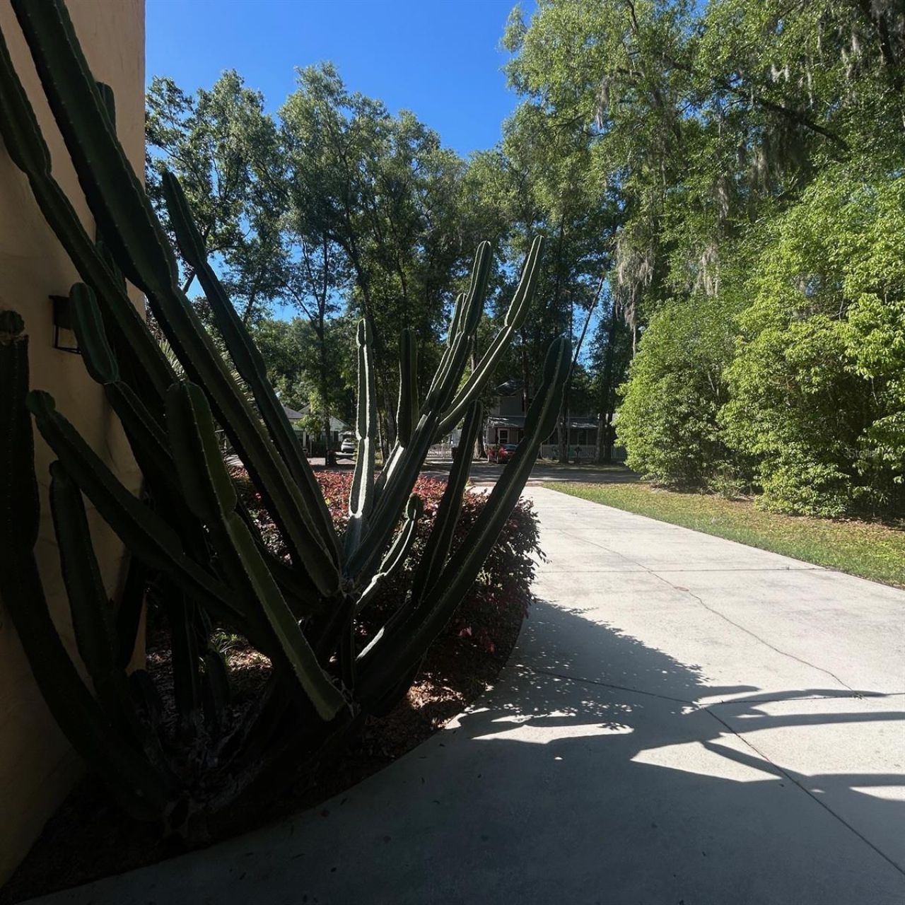 250 Garden Street, Lake Helen, FL 32744 Photo