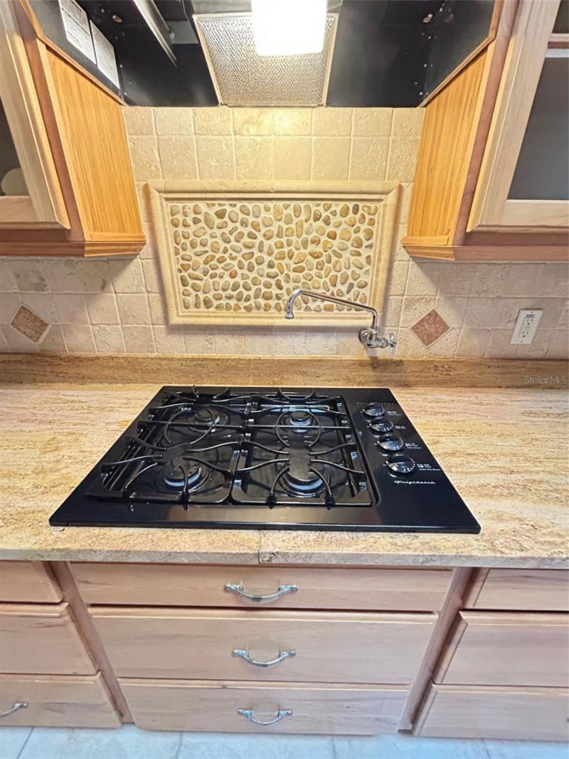 250 Garden Street, Lake Helen, FL 32744 Photo