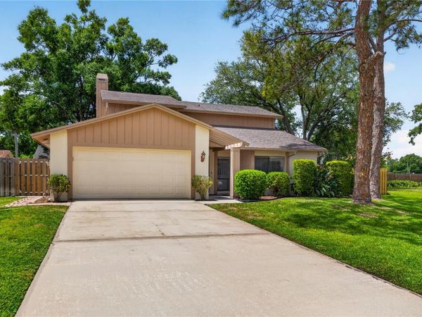 15710 PINTO PLACE, TAMPA, FL 33624