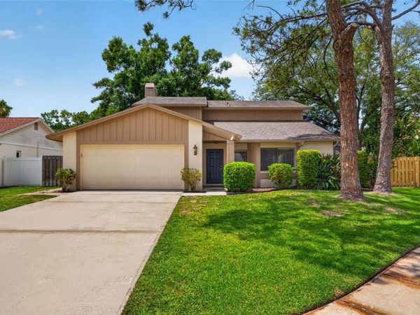 15710 PINTO PLACE, TAMPA, FL 33624