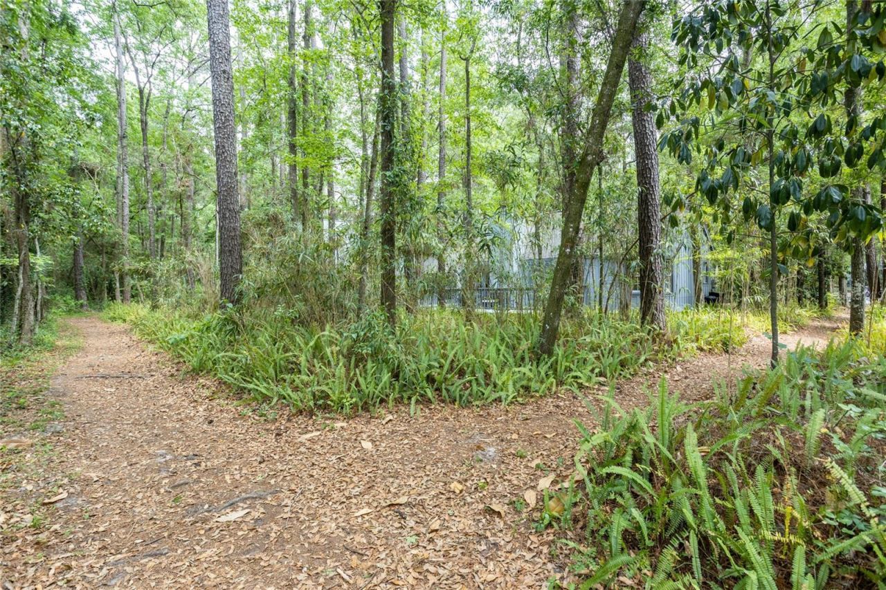 8432 SW 46 Road, Gainesville, FL 32608 Photo