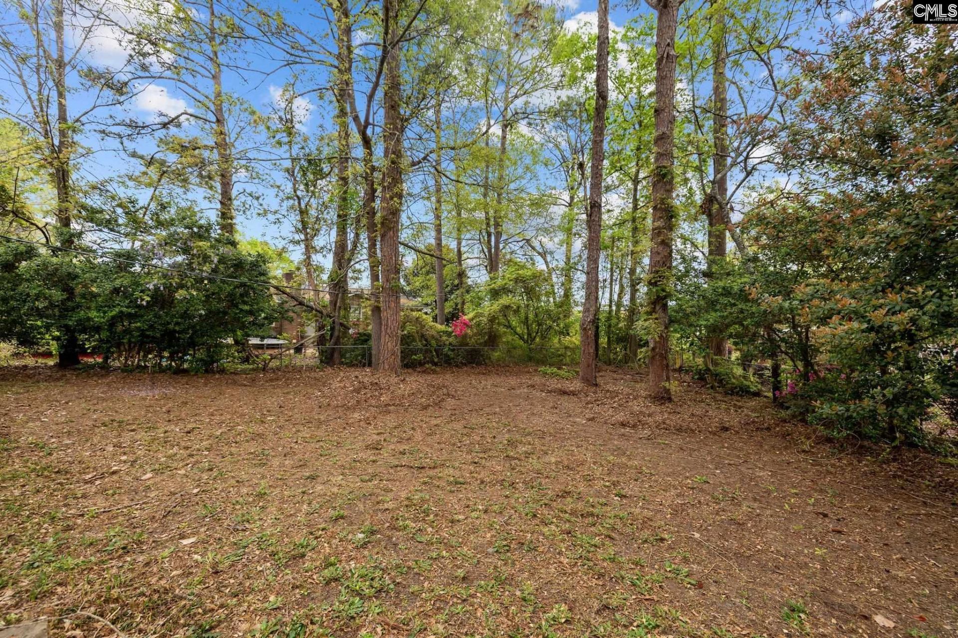 7819 Charles Towne Drive  Photo 36