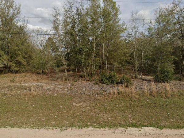 Tbd Marion Avenue, Interlachen, FL 32148