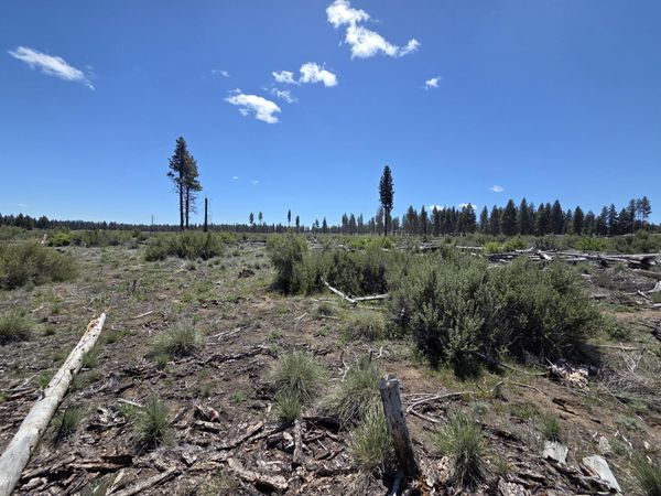 0 Mountain Quail Lane, Unit Lot 9, Chiloquin, OR 97624