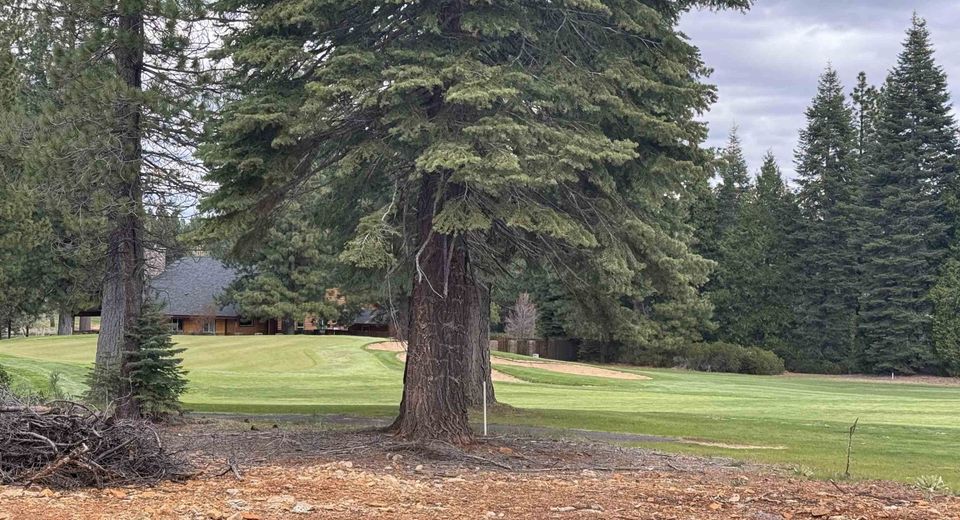 99 Dinsmore Drive , Lake Almanor, CA 96137 Photo