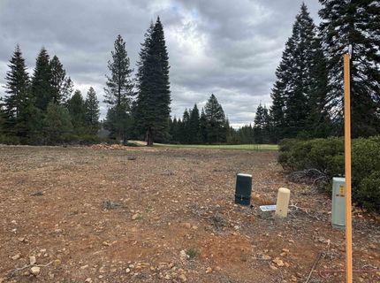 99 Dinsmore Drive , Lake Almanor, CA 96137 Photo