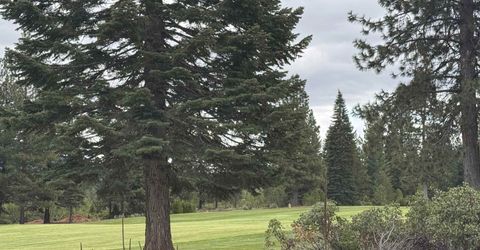 99 Dinsmore Drive , Lake Almanor, CA 96137 Photo