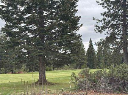 99 Dinsmore Drive , Lake Almanor, CA 96137 Photo