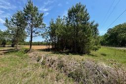 1371 Justice Loop  photo 4