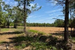 1371 Justice Loop  photo 4