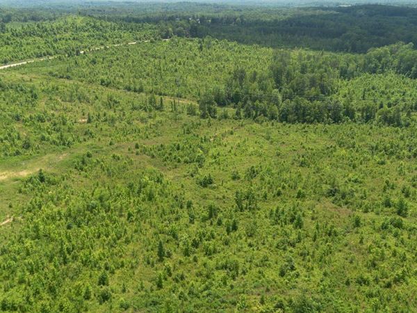 5 Tucker Rd , Bath Springs, TN 38311