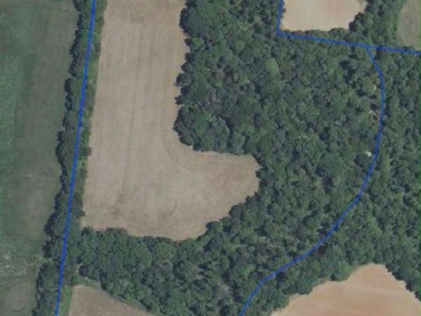 1828 Casstevens Road, Yadkinville, NC 27055