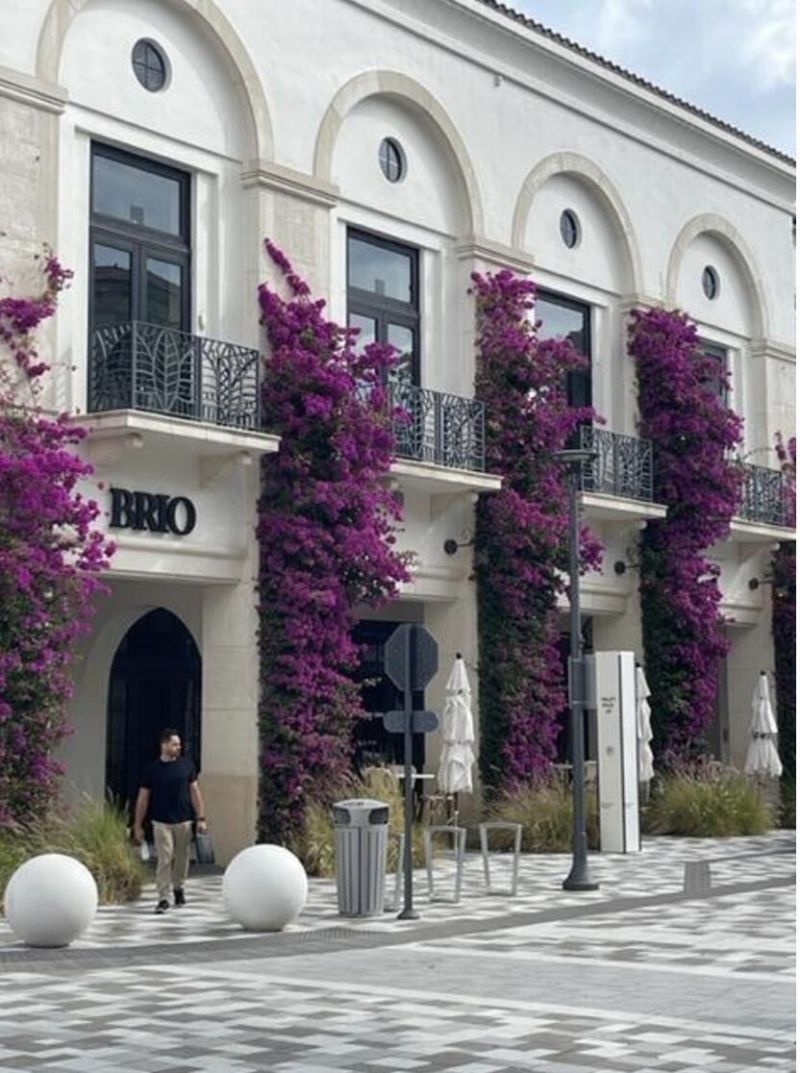 3636 Whitehall Drive, Unit 402, West Palm Beach, FL 33401 Photo