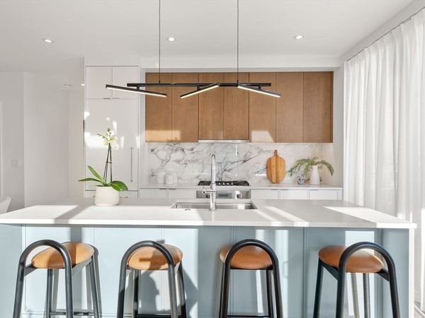 595 Albany Street, Unit 401, Boston, MA 02118