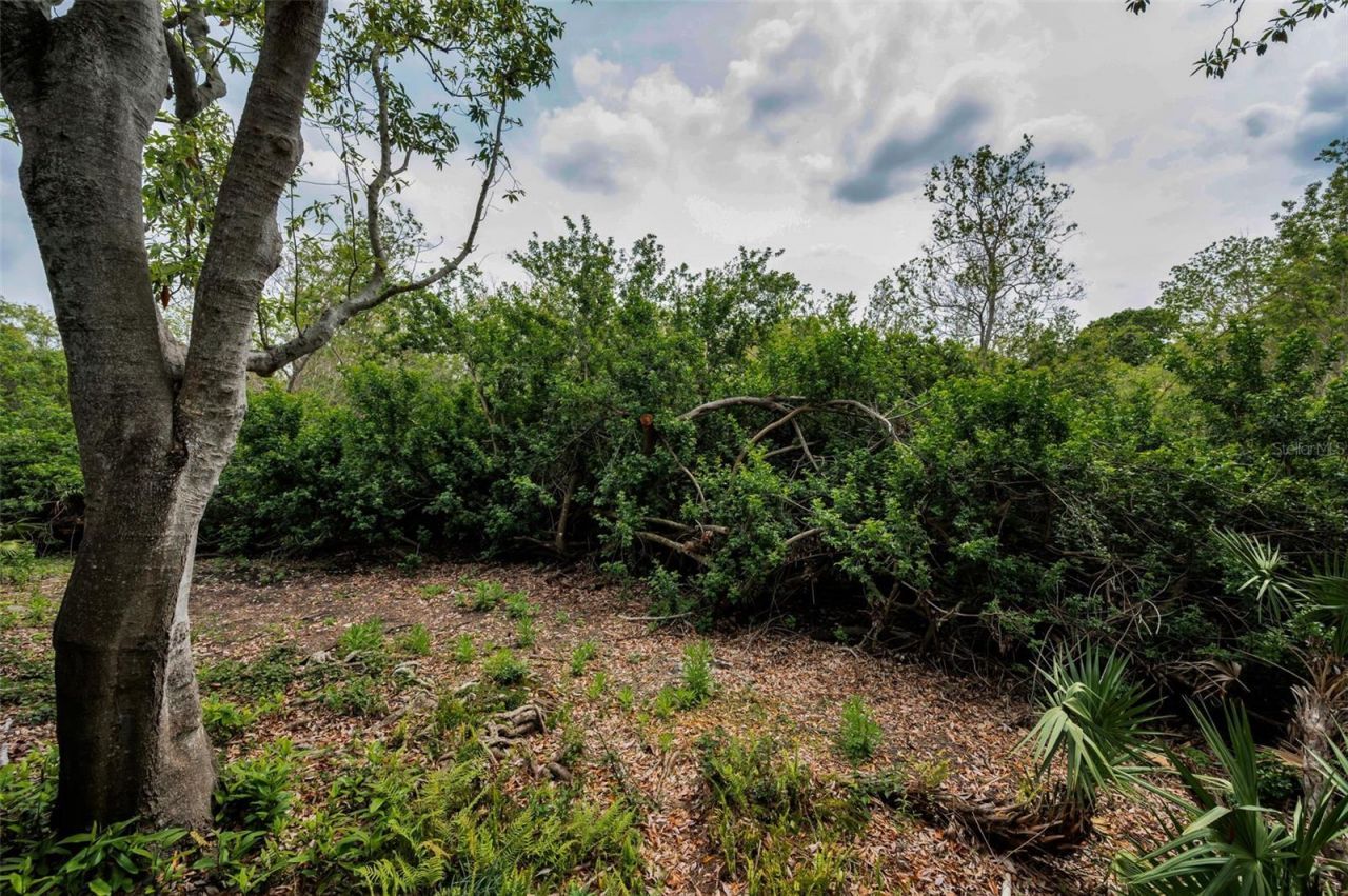 2997 Eagle Estates Circle E, Clearwater, FL 33761 Photo