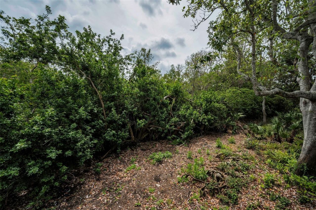 2997 Eagle Estates Circle E, Clearwater, FL 33761 Photo