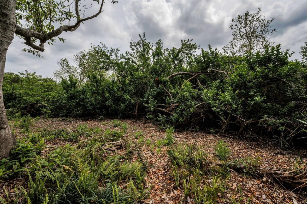 2997 Eagle Estates Circle E, Clearwater, FL 33761 Photo