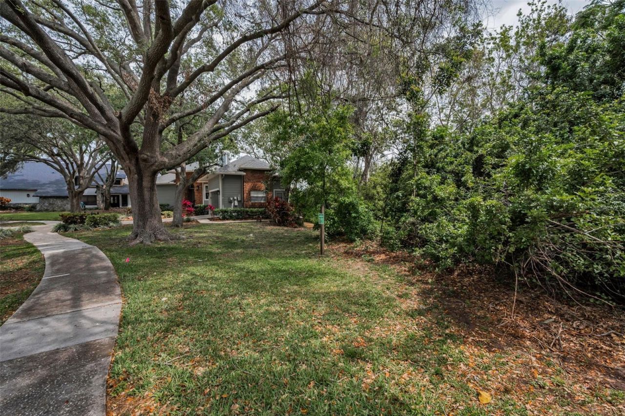 2997 Eagle Estates Circle E, Clearwater, FL 33761 Photo