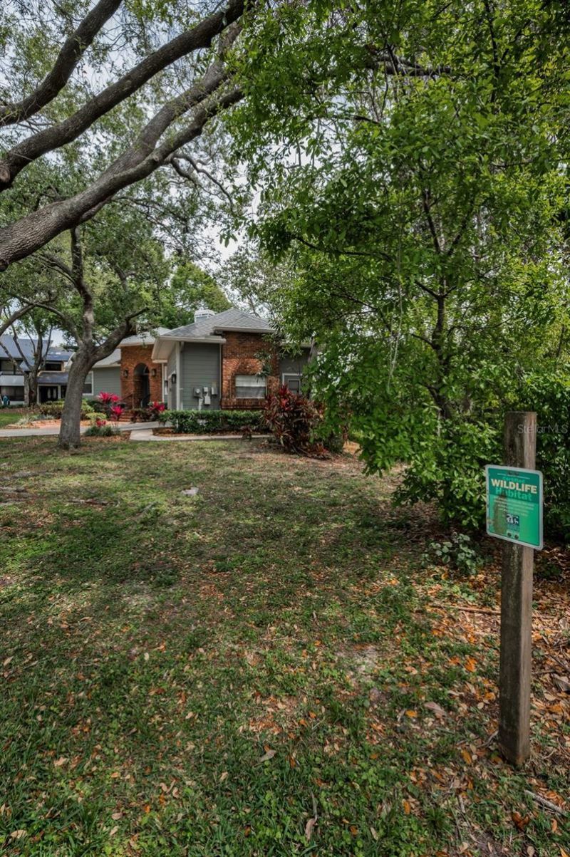 2997 Eagle Estates Circle E, Clearwater, FL 33761 Photo